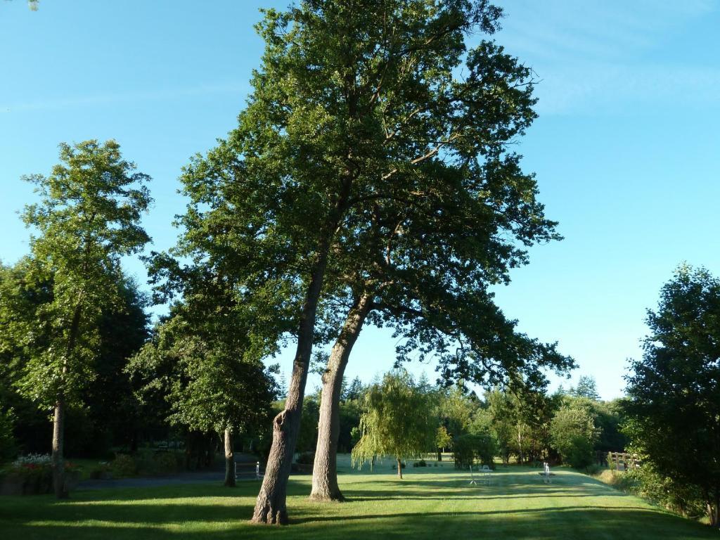 Domaine De La Tour Panzió Saint-Pierre-Canivet Kültér fotó